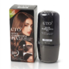 CTO Quick Hairdressing Pen Black Tea Shade 15ml
